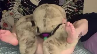 Getting Banged by my Teddy Bear (OF Preview)