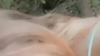 Blowjob In The Woods From A Ravishing Little Whore