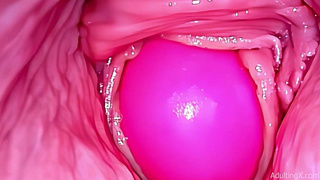 Inside a Camgirl Cervix SELF PERSPECTIVE Web-cam in Snatch with Pink Vibrating Toy