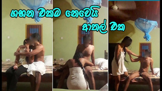 මෙහෙම සැප දෙනවනම් කෙල්ලො පිට යන්නෙ නෑ Ravishing Sri Lankan Bitch Fuck with Friend After Class