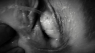 Cream-pie My Squirting Twat